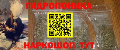 ешки Будённовск