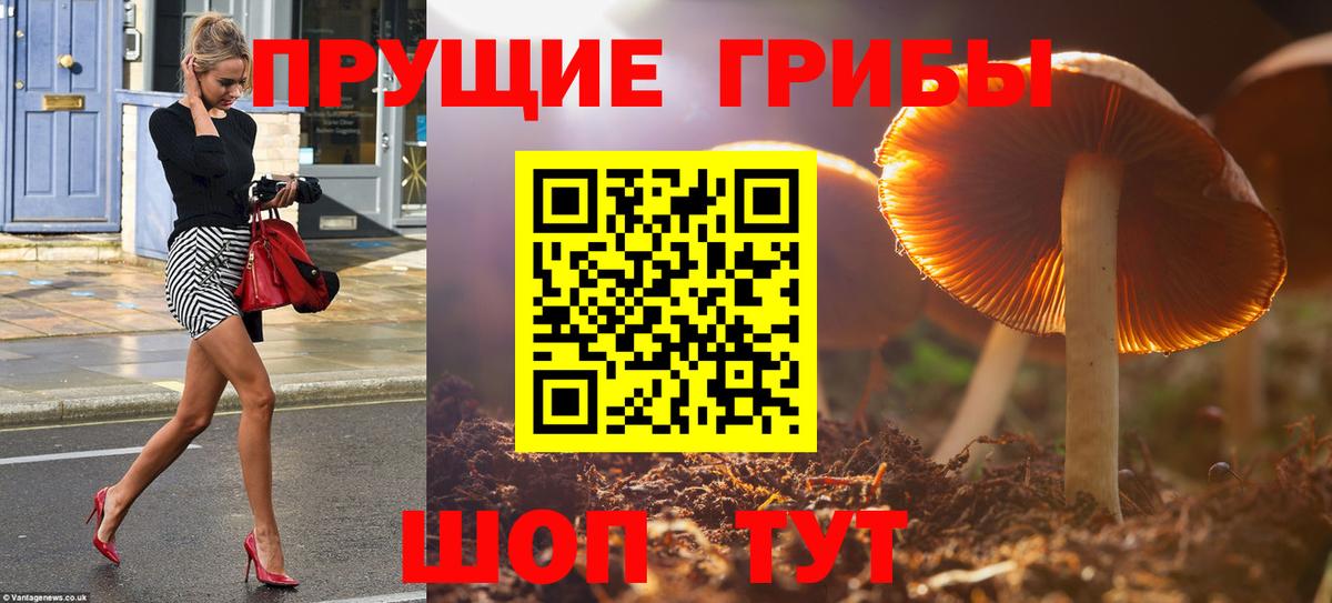 Псилоцибиновые грибы Cubensis  Вход с VPN  Родники 