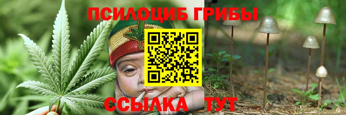 Псилоцибиновые грибы GOLDEN TEACHER Родники
