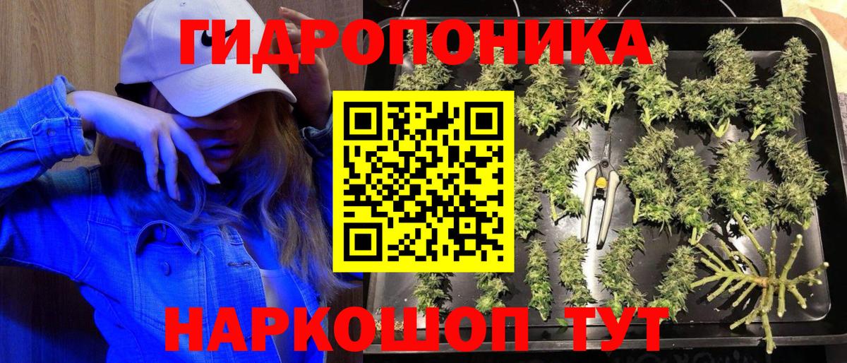 Шишки марихуана тримм  Марихуана сатива  Канабис OG Kush  Вход с VPN  Родники 